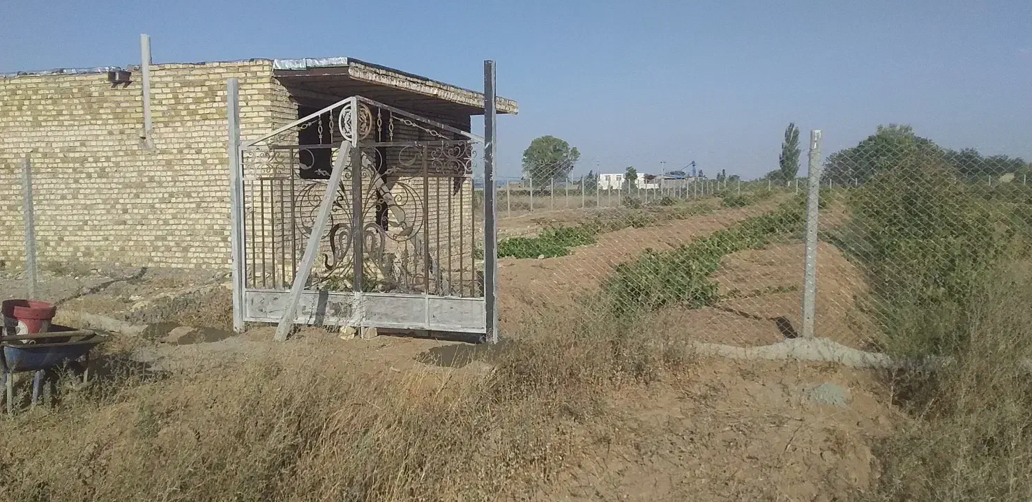 باغ انگور|فروش دفتر صنعتی، کشاورزی، تجاری|تاکستان, |دیوار