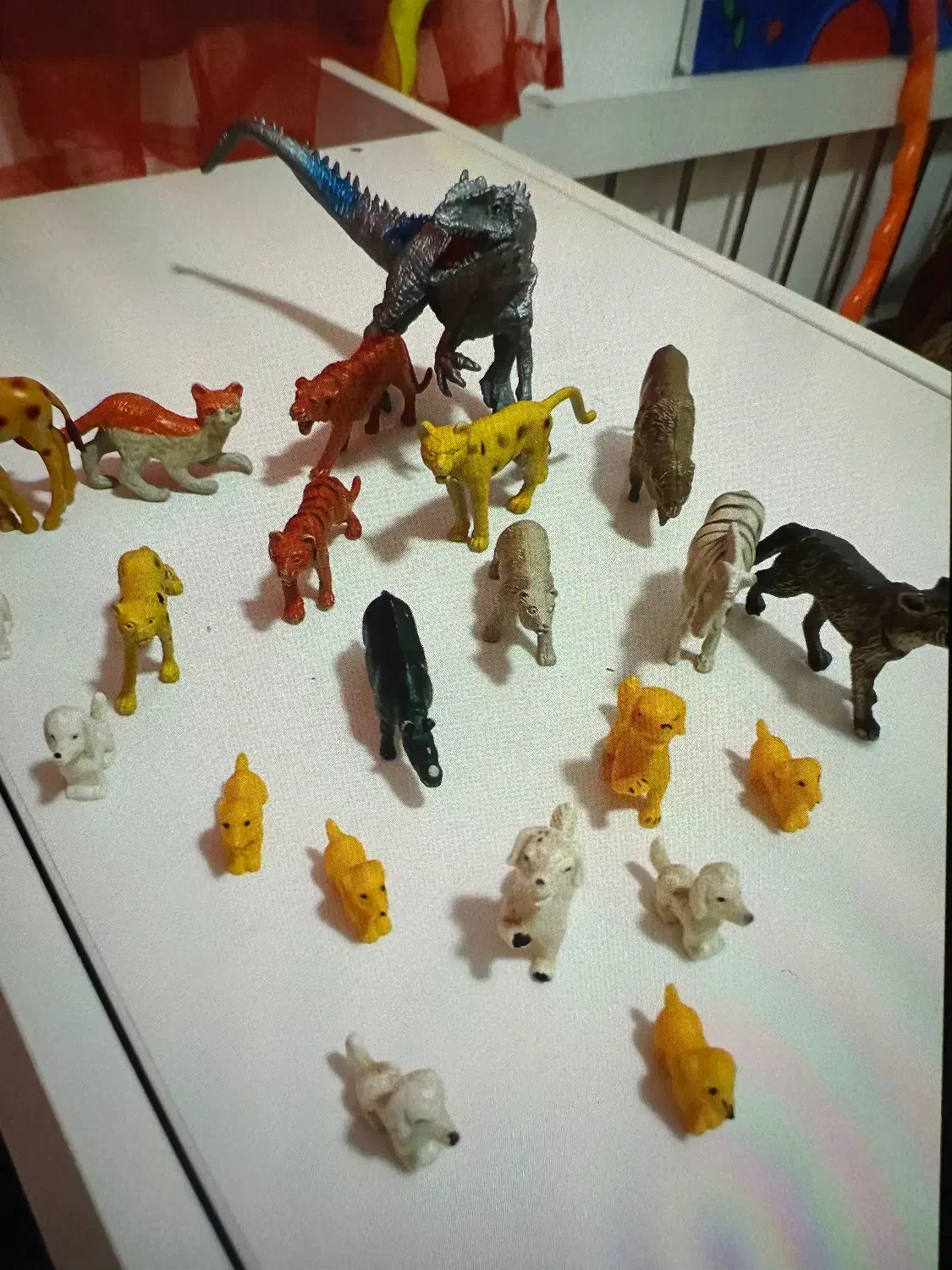 یکسری حیوان های دکوری|اسباببازی|بابل, |دیوار