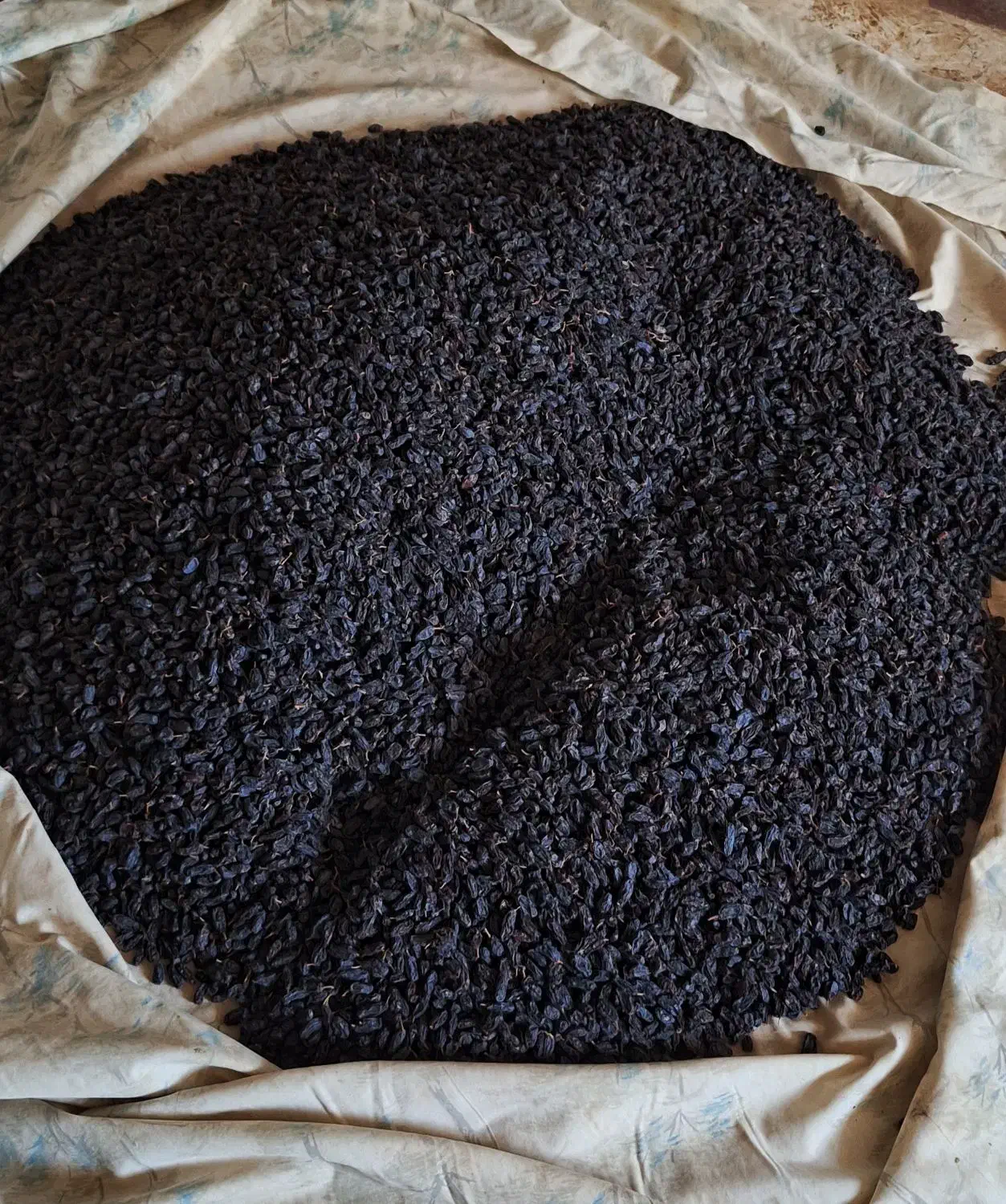 کشمش و مویز درجه ۱|خوردنی و آشامیدنی|شیراز, گلستان|دیوار