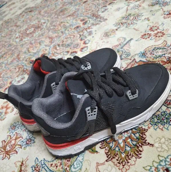 کفش جردن ۴|کیف، کفش، کمربند|نیشابور, شهرک قدس|دیوار