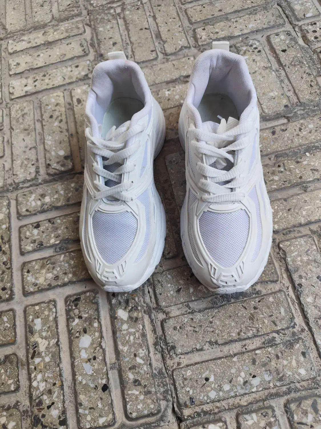 کفش اسپرت|کیف، کفش، کمربند|بروجن, |دیوار