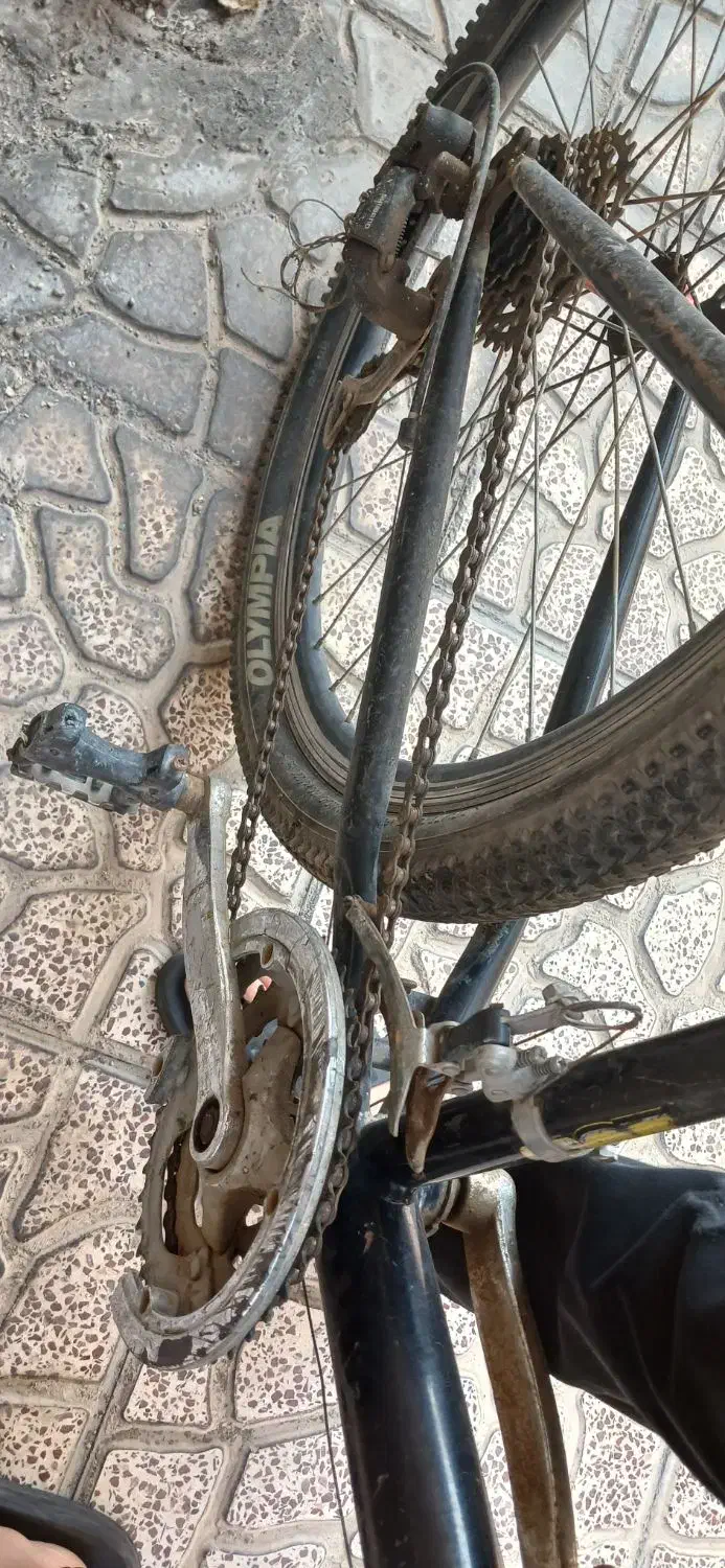 دوچرخه سایز ۲۶|دوچرخه، اسکیت، اسکوتر|ماهدشت, |دیوار