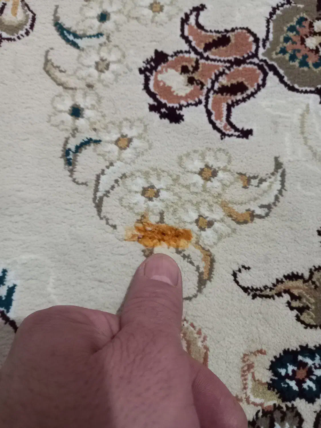 فرش و قالی|فرش|رامجین, |دیوار