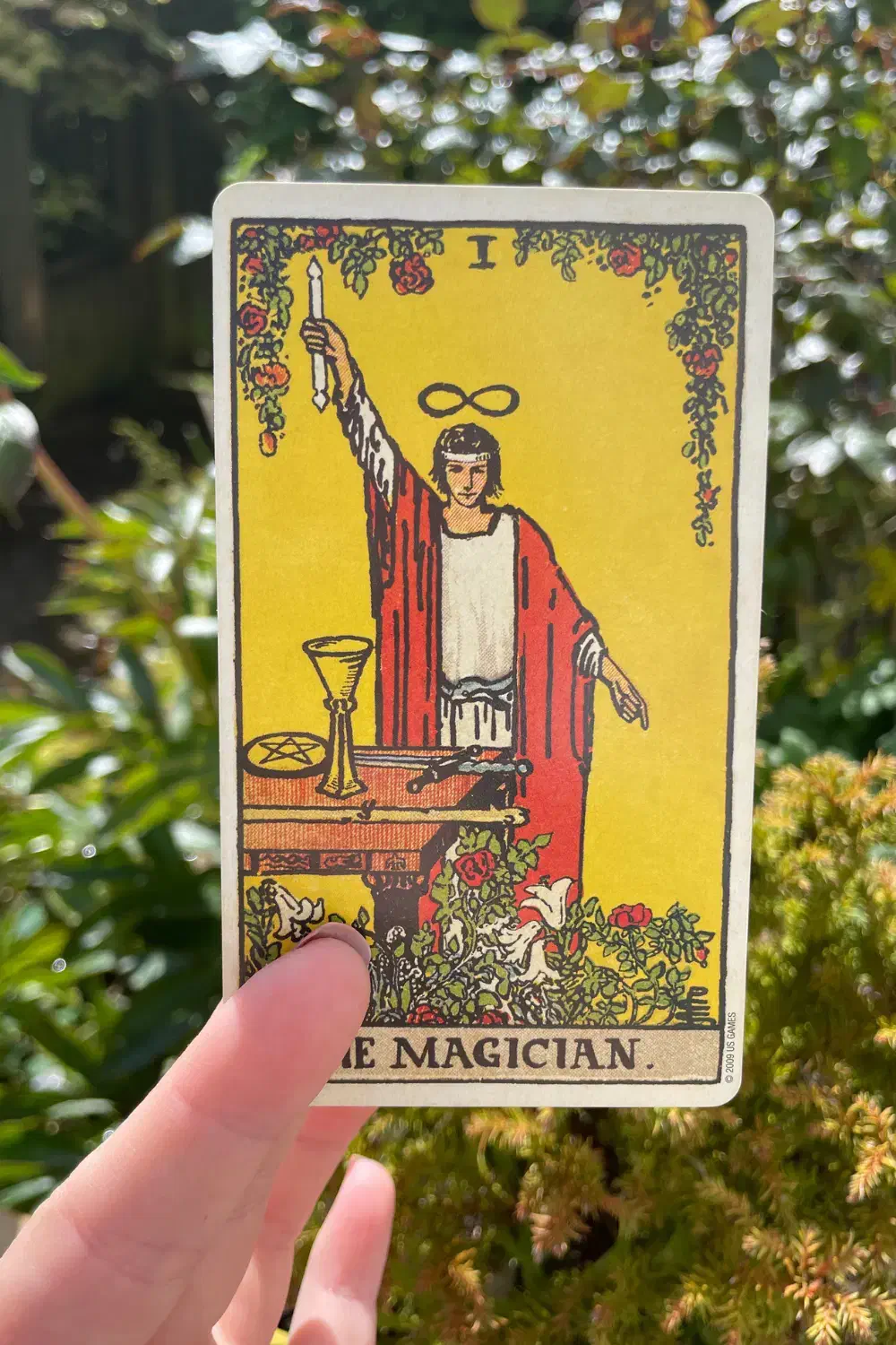 طالع بینی|خدمات پذیرایی، مراسم|رشت, منظریه|دیوار