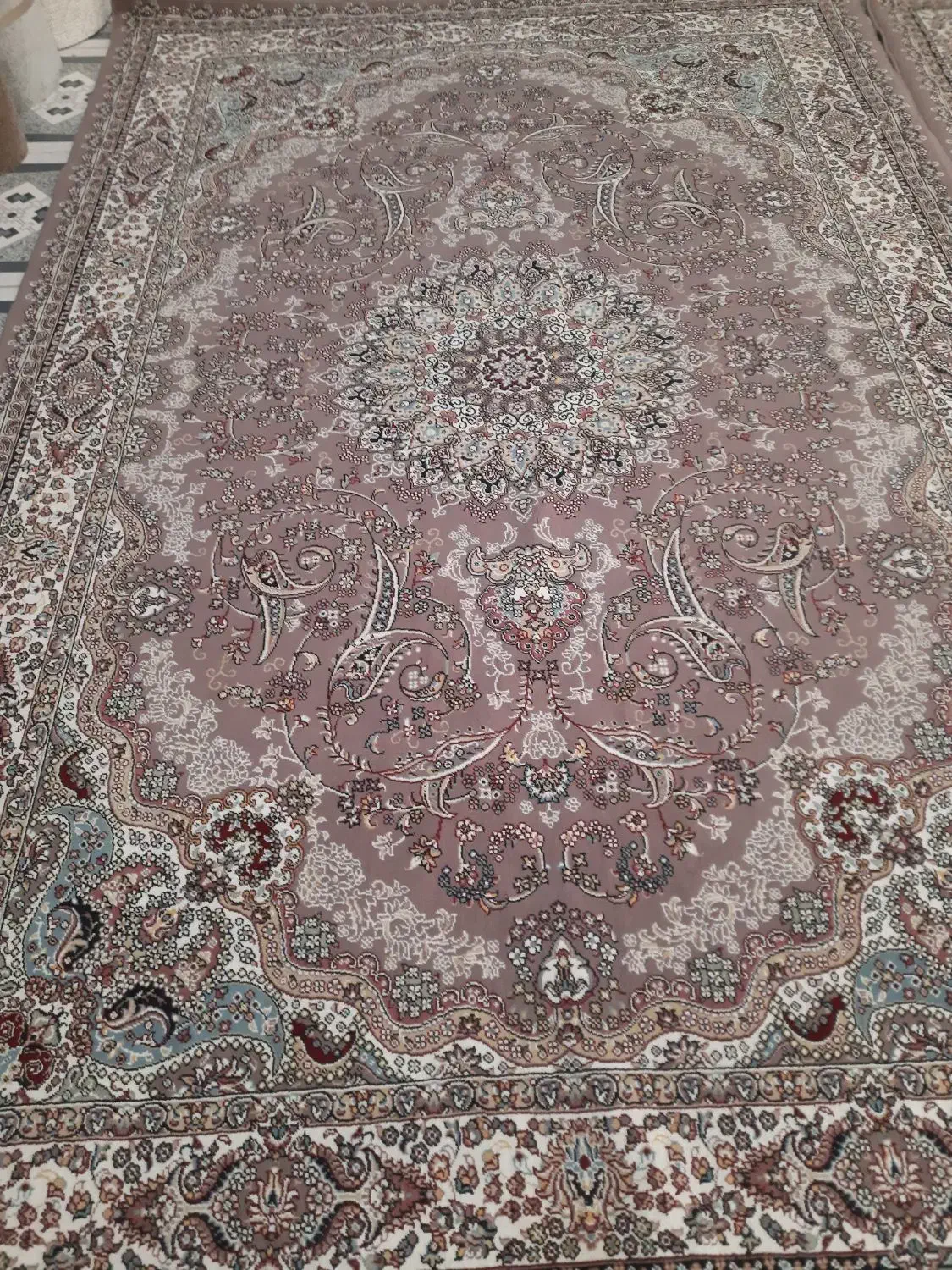 دو عدد فرش گردویی ۷۰۰شانه اصل|فرش|مریوان, |دیوار