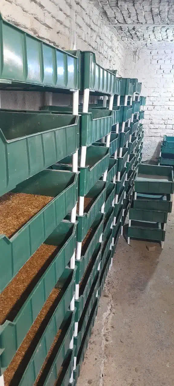 واگذاری فارم میلورم|خزنده|مشهد, میان ولایت|دیوار