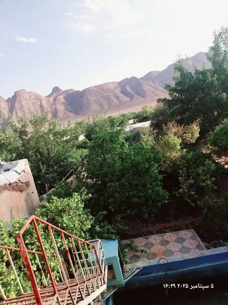 (فروش فوری)خانه باغ تنگ چنار|فروش خانه و ویلا|مهریز, |دیوار