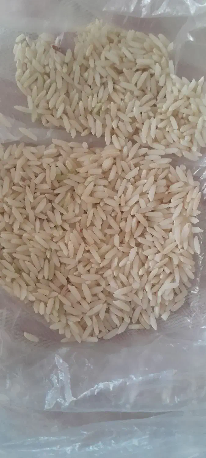 برنج سالم و نیمدانه|خوردنی و آشامیدنی|بروجرد, |دیوار