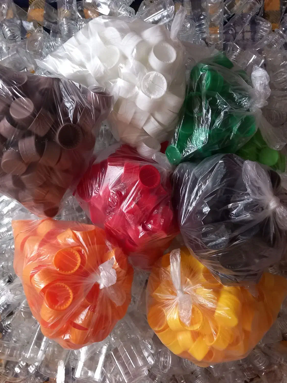 ظرف پلاستیکی|ظروف نگهدارنده، پلاستیکی، یک‌بارمصرف|قم, قم نو|دیوار