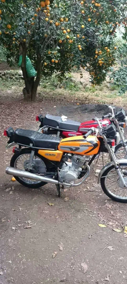 هوندا کویر مزائده در حد|موتورسیکلت|چابکسر, |دیوار