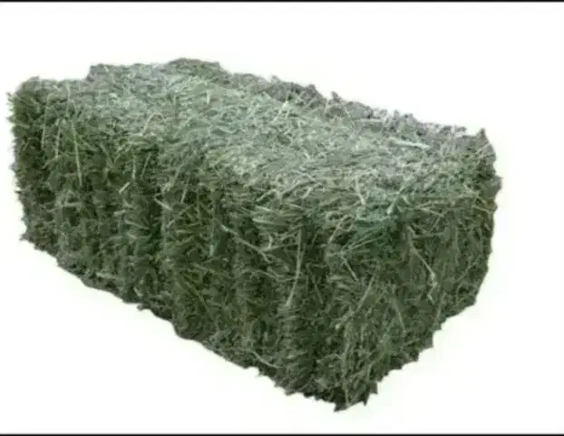 یونجه|لوازم جانبی حیوانات|نهاوند, |دیوار