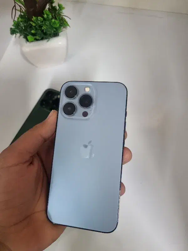 13pro درحددنوو بدون نقطه|موبایل|شیراز, فخرآباد (دروازه کازرون)|دیوار