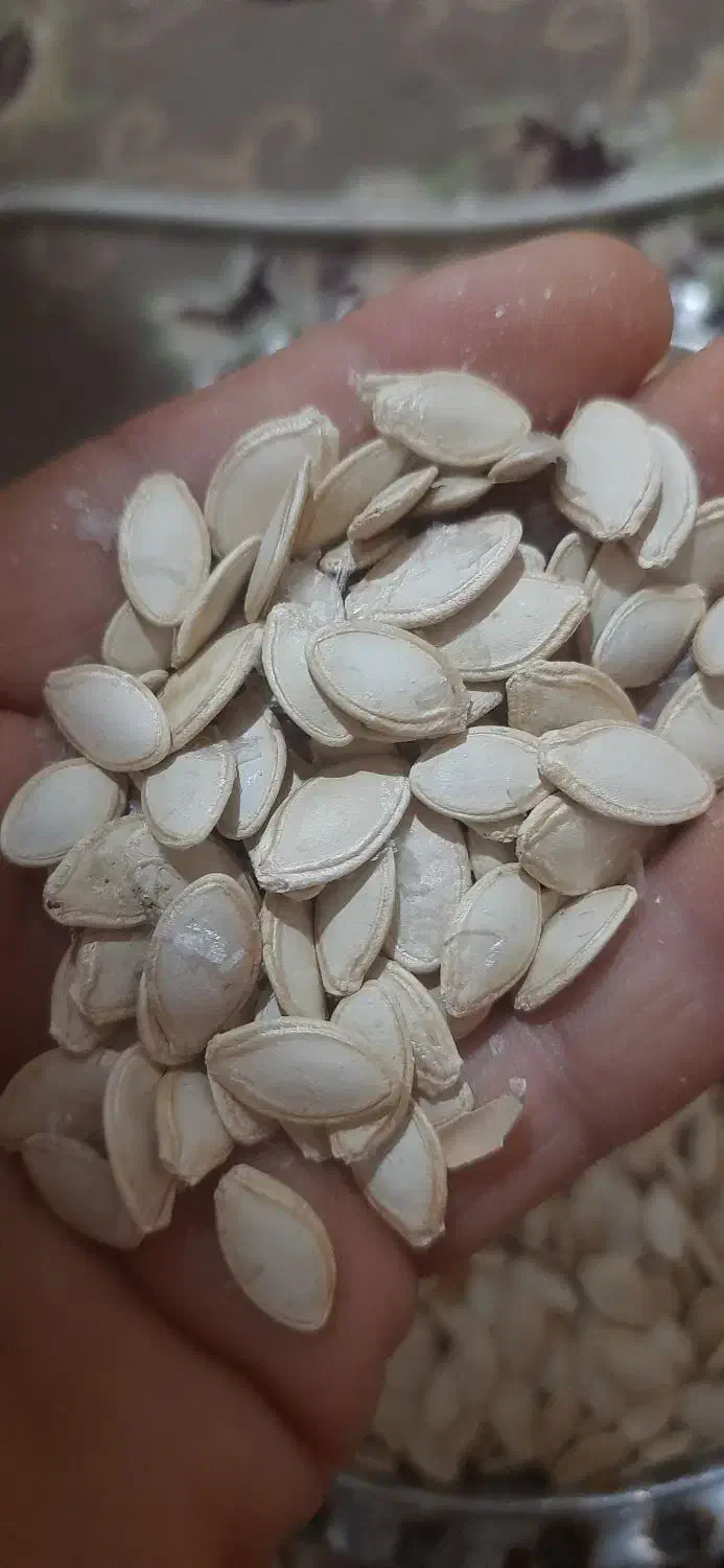 تخم کدو|خوردنی و آشامیدنی|آباده, |دیوار