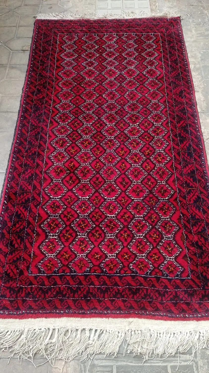 قالیچه دستباف نو|فرش|تربت‌حیدریه, مظفریه|دیوار