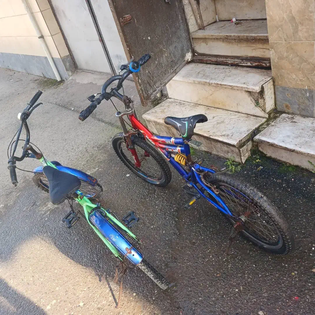 دوچرخه ۲۰ معاوضه با اردک یا مرغ به قیمت|دوچرخه، اسکیت، اسکوتر|رشت, یخسازی|دیوار