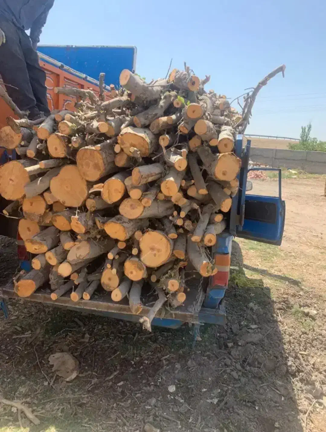 خرید چوب وبرش|خدمات باغبانی و درختکاری|نقده, |دیوار