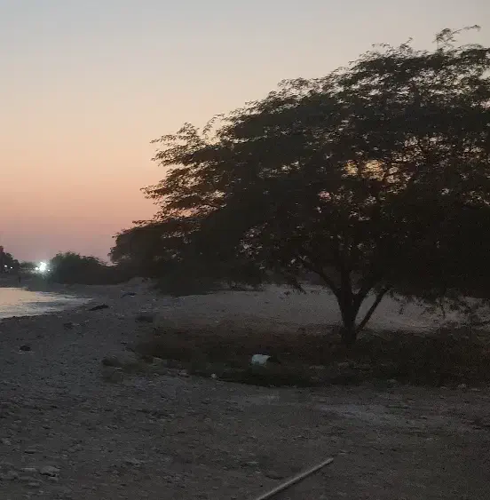 زمین|فروش زمین و ملک کلنگی|جم, |دیوار