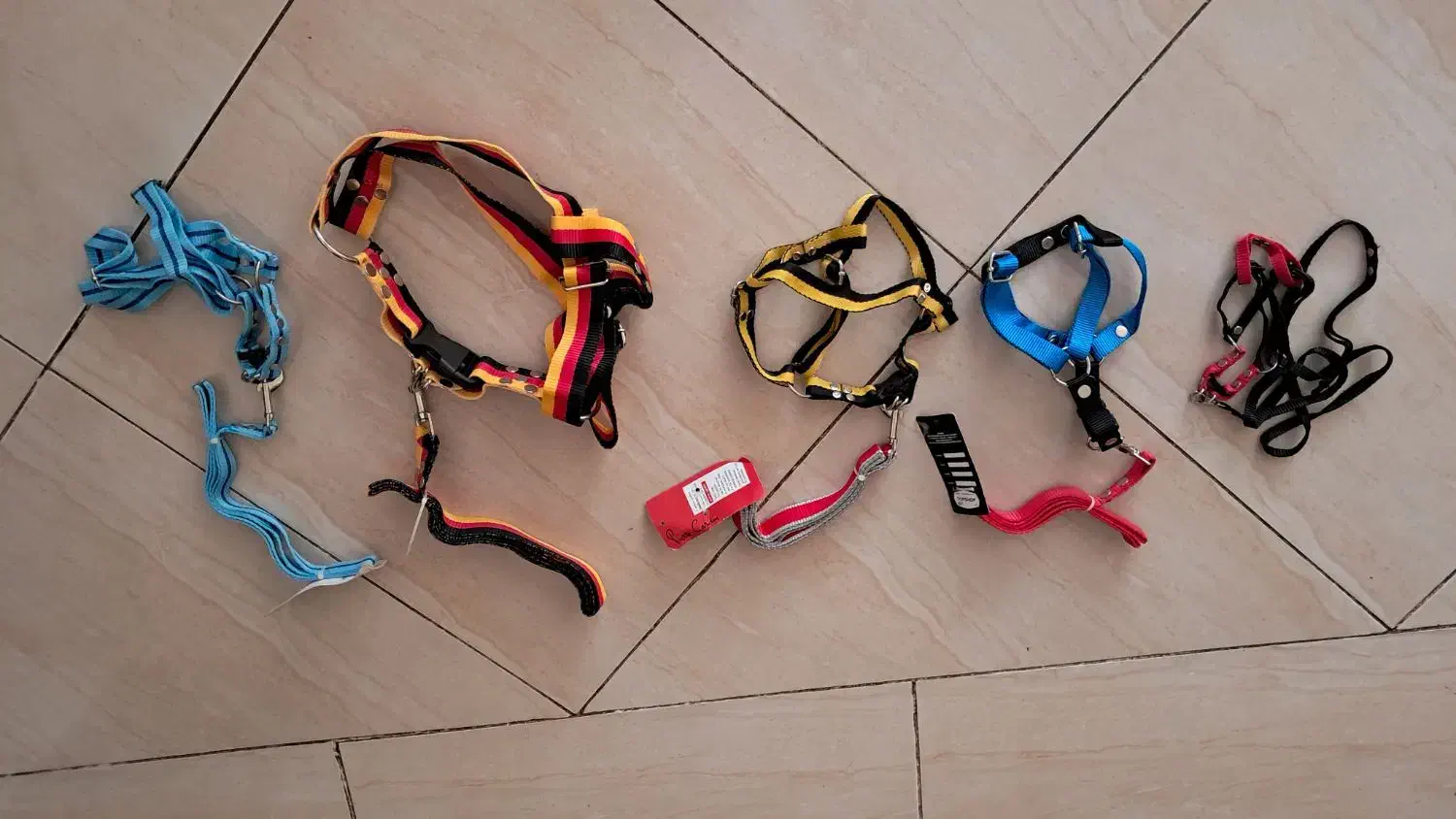 قلاده سگ|لوازم جانبی حیوانات|ایلام, |دیوار