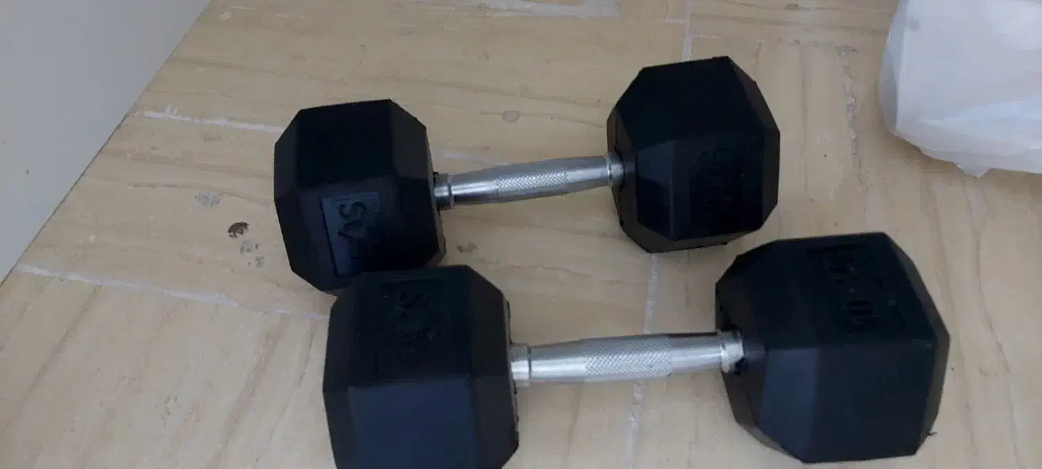 دمبل ۱۰ کیلوگرمی(یک جفت)|تجهیزات ورزشی|رودهن, |دیوار