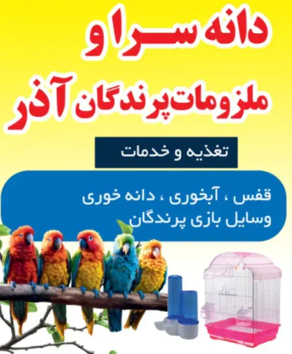 دانه سرا و ملزومات پرندگان آذر|لوازم جانبی حیوانات|میناب, |دیوار