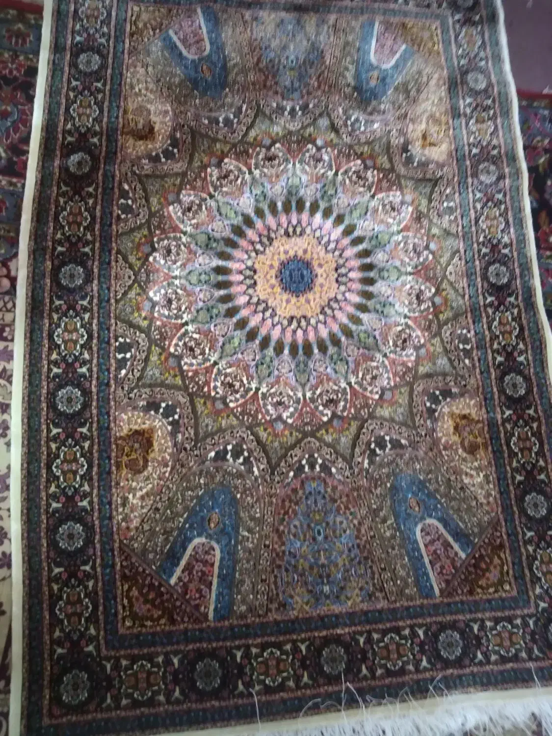 خریدار فرش ماشینی و دست بافت.فرش محسن.|خدمات پیشه و مهارت|قم, چهل اختران|دیوار