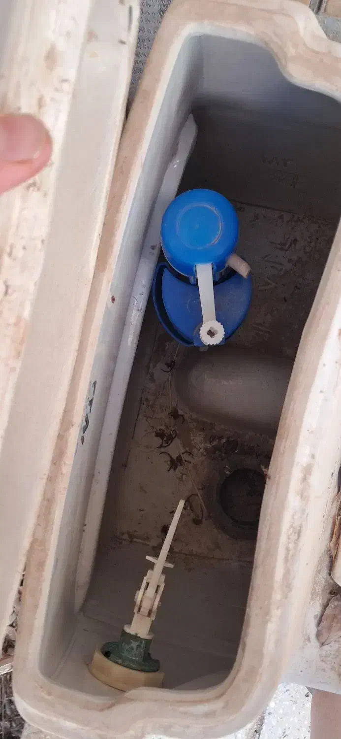 توالت فرنگی|لوازم سرویس بهداشتی|تربتحیدریه, بالا ولایت|دیوار