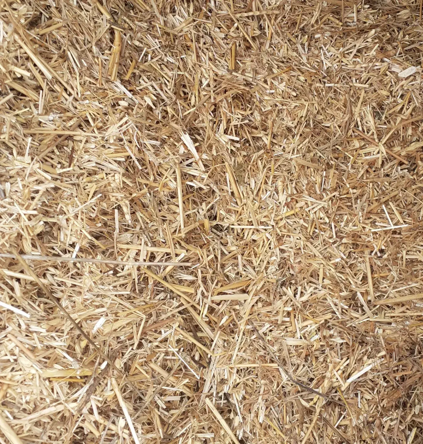 کاه گندم|لوازم جانبی حیوانات|گرمی, |دیوار