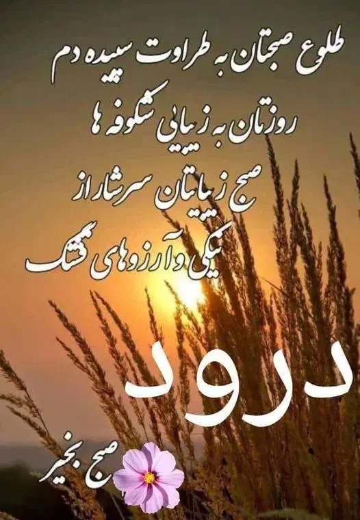 راهنمایی کنید|فعالیت داوطلبانه|شیراز, بازار|دیوار