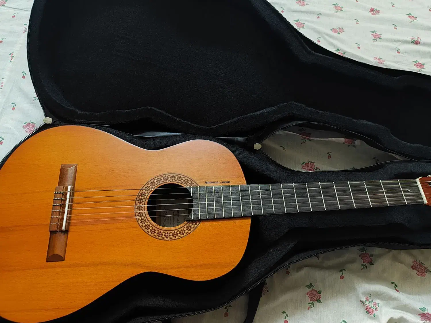 گیتار|گیتار، بیس، امپلیفایر|لاهیجان, گلستان|دیوار