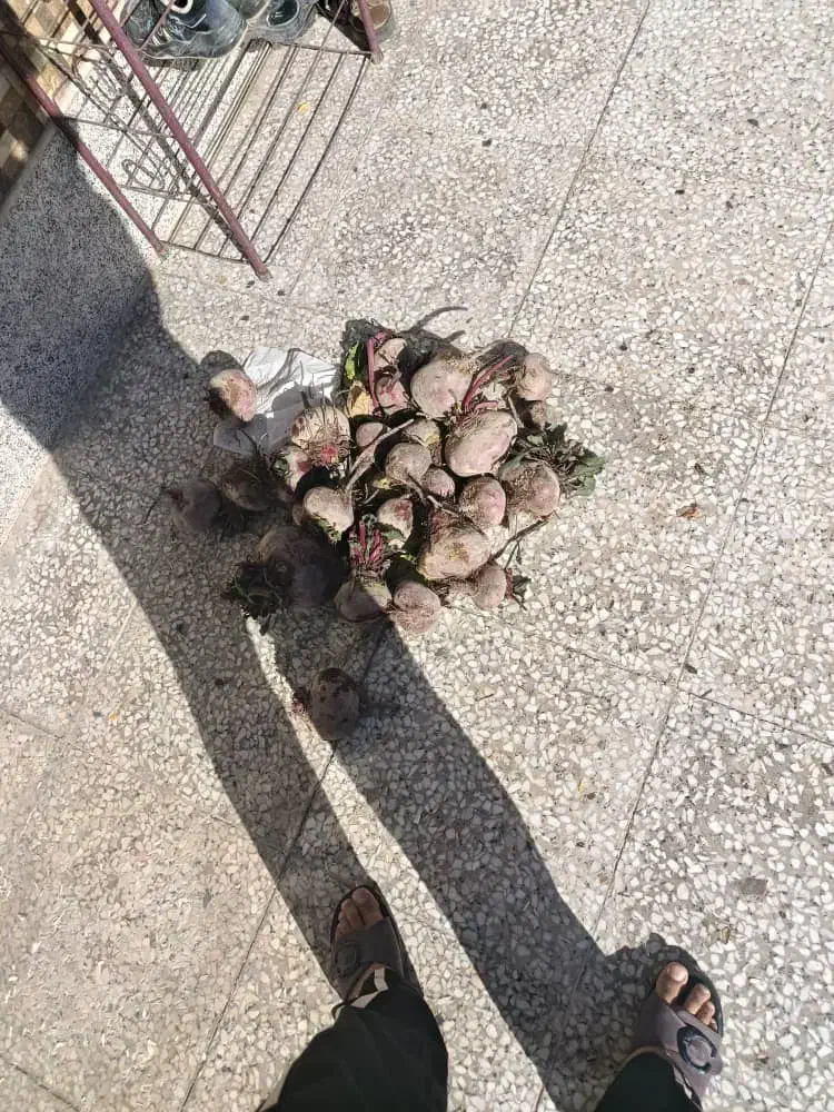 لبو ارگانیک درجه 1|خوردنی و آشامیدنی|بردسیر, |دیوار