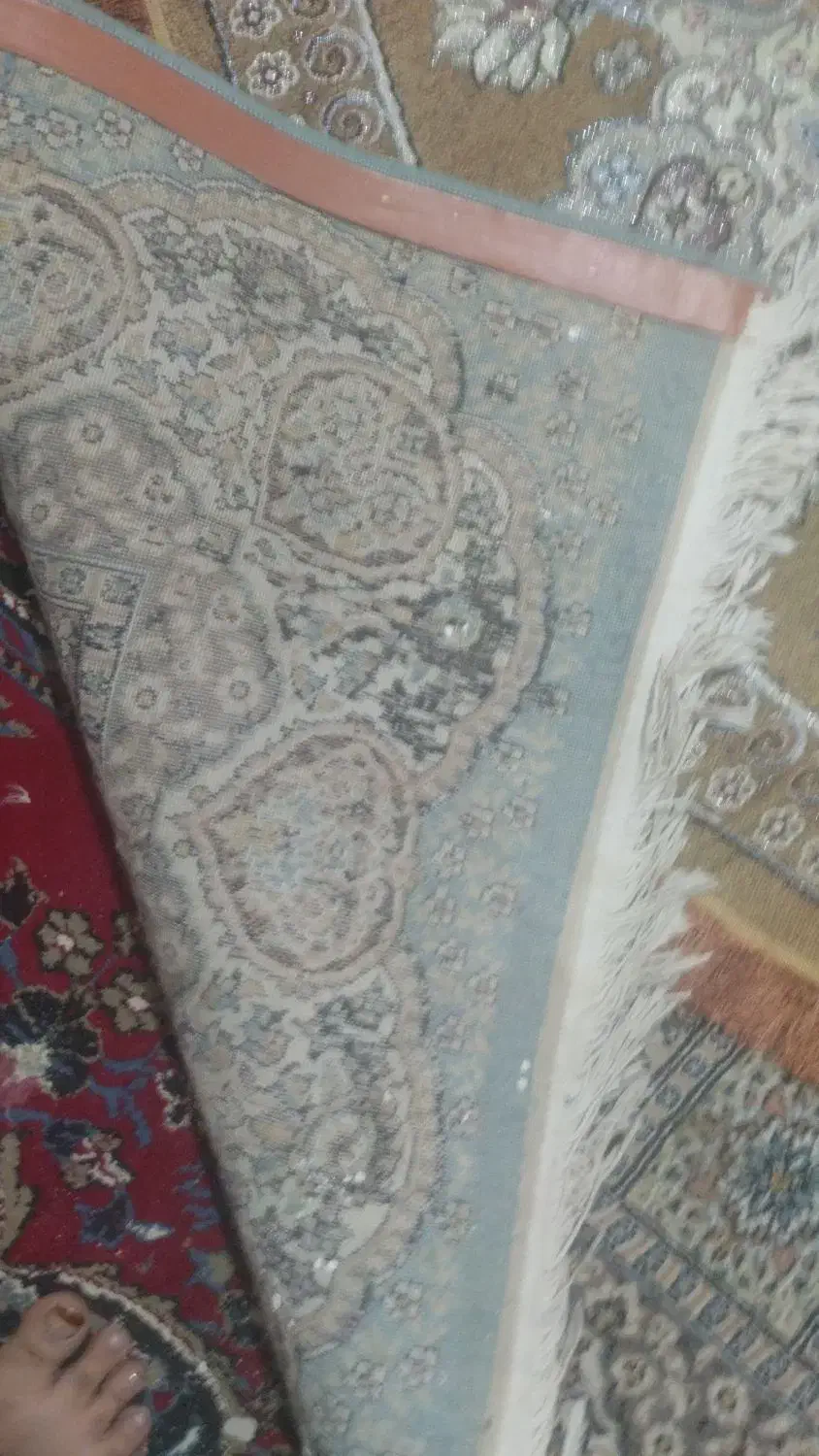 فرش|فرش|زاهدان, |دیوار