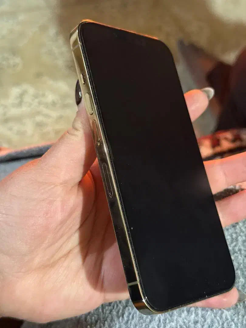 آیفون ۱۳ پرو|موبایل|اصفهان, کوی ولی عصر|دیوار