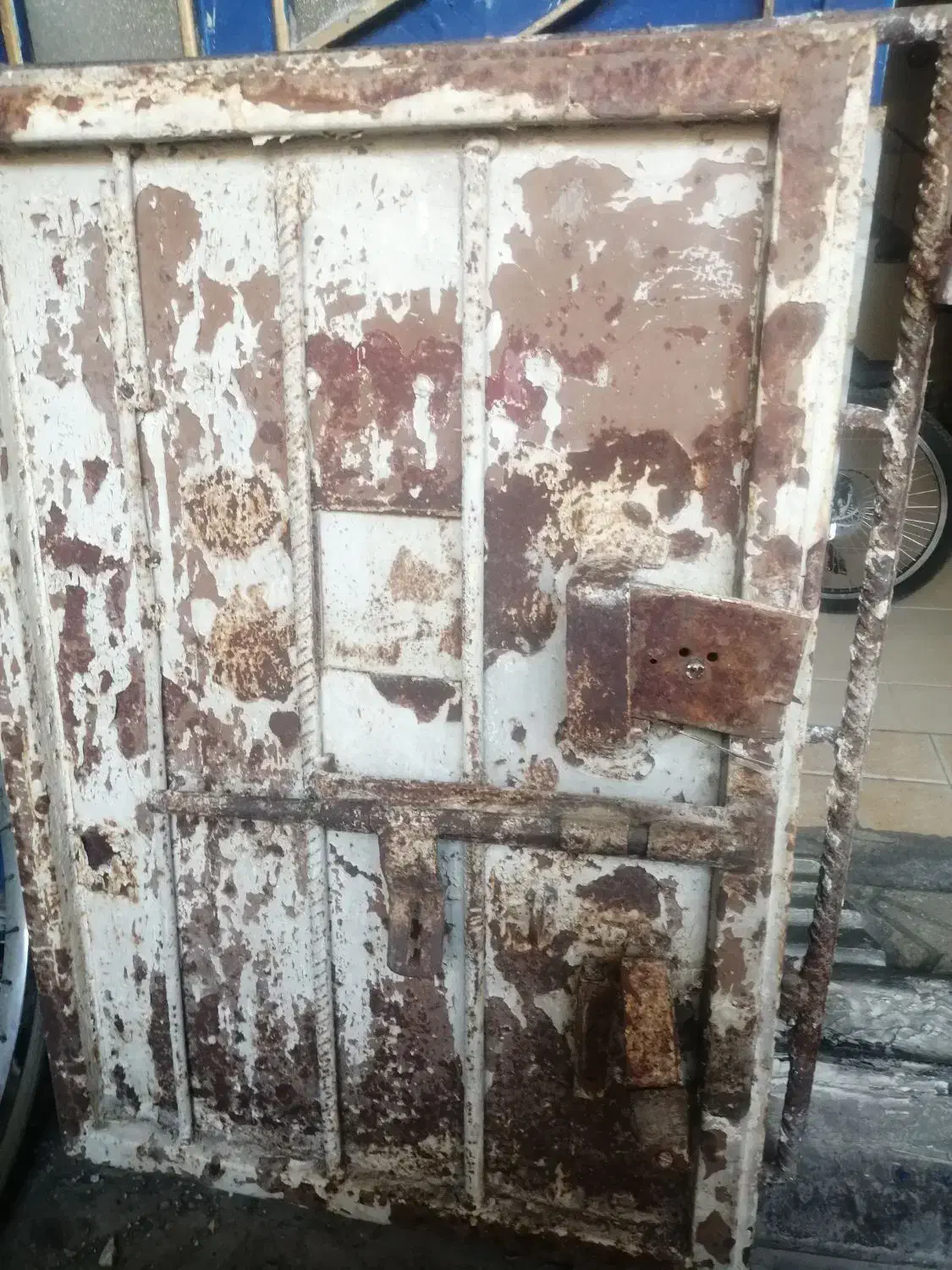 درب کت کبوتر|لوازم جانبی حیوانات|جهرم, |دیوار