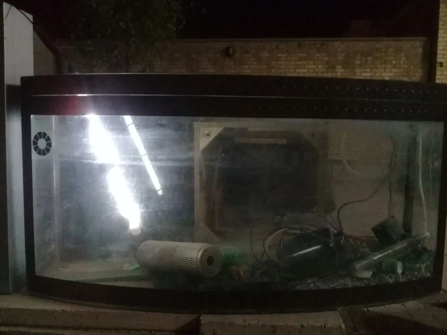 آکواریوم آب شیرین|ماهی|خمینیشهر, |دیوار