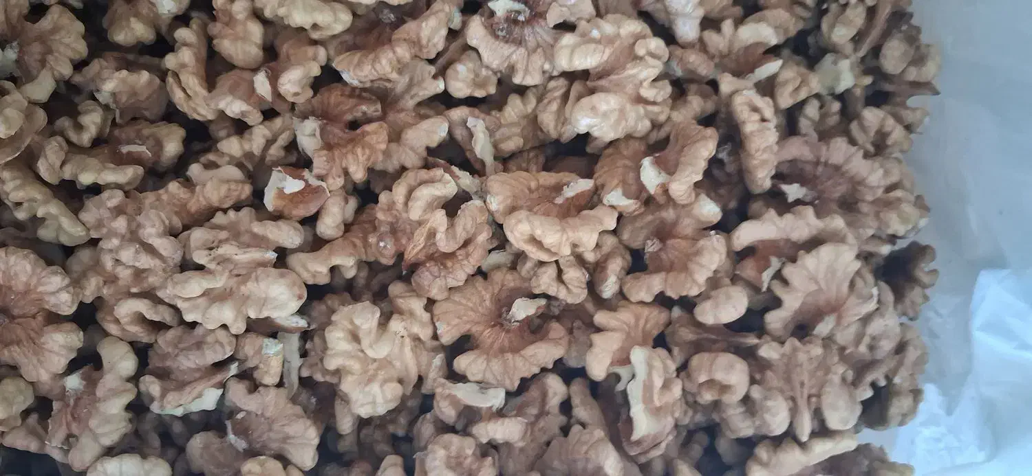 فروش مغز گردو|خوردنی و آشامیدنی|بوانات, |دیوار