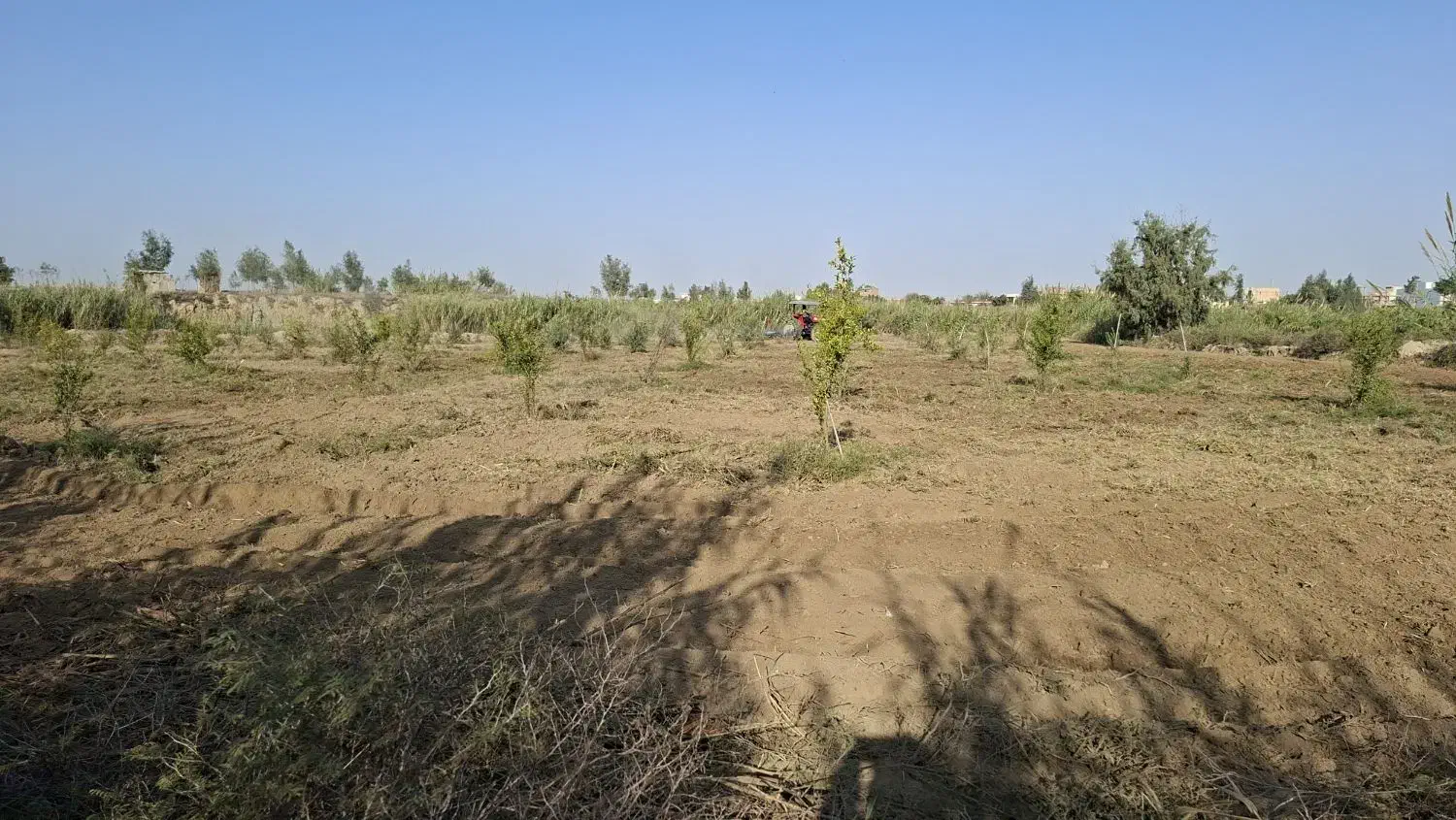 زمین برای کشت‌محصول آبی|خدمات باغبانی و درختکاری|گنبد کاووس, |دیوار