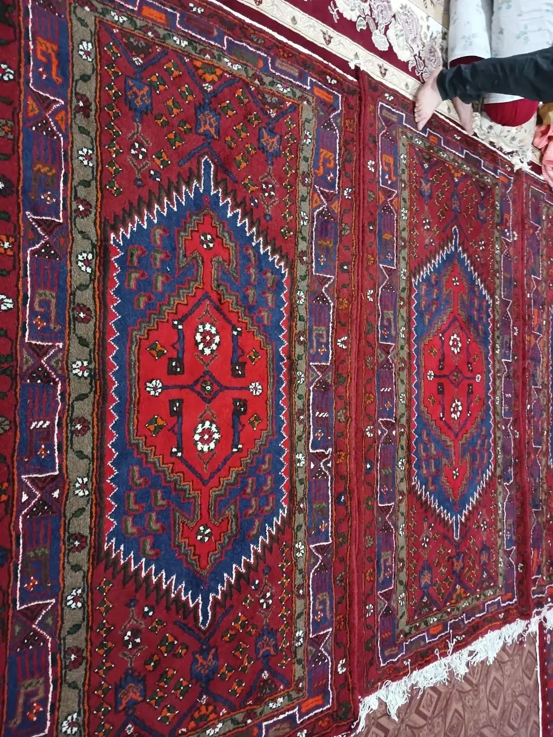 فرش دست بافت|فرش|زنجان, |دیوار