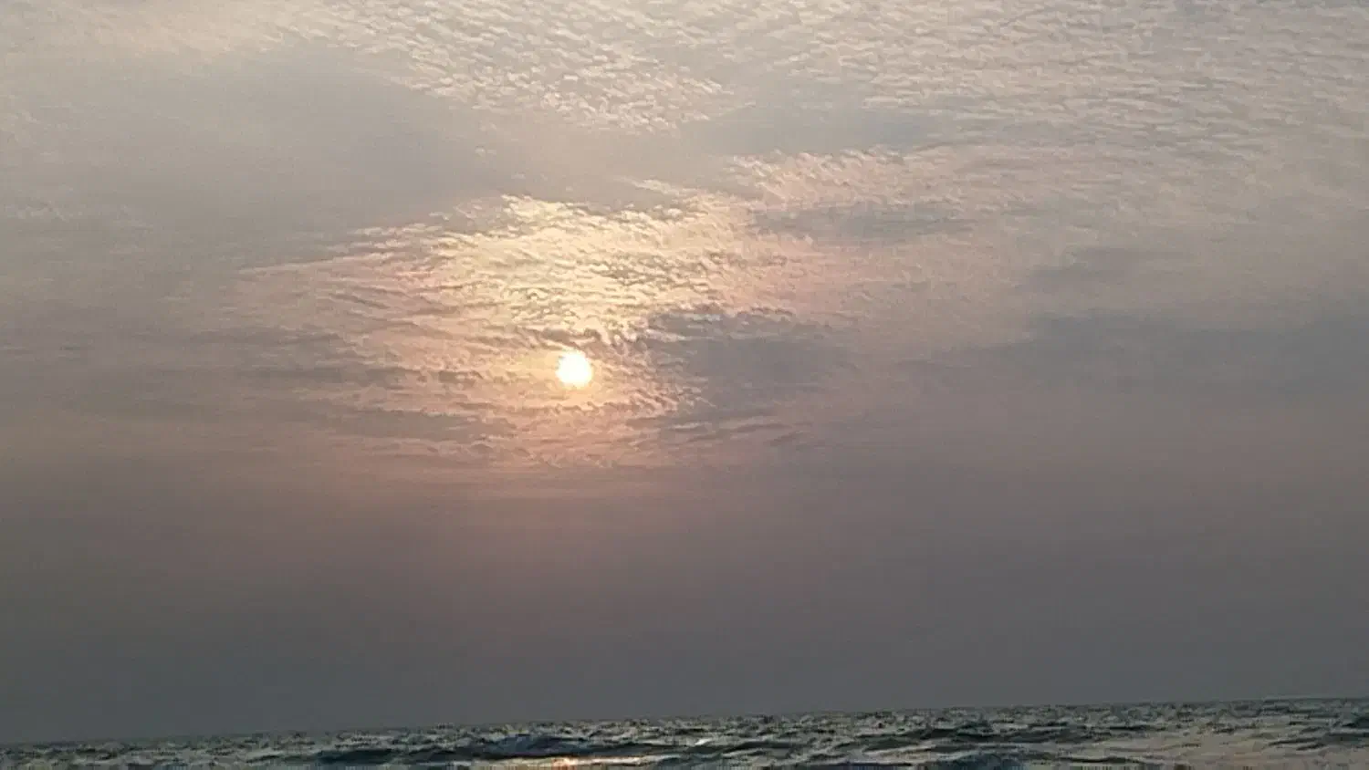 ویپ ویپ پیدا شده در خودرو سورن سورمه ای اسنپ،تپسی|اشیا|شیراز, خلیلی|دیوار