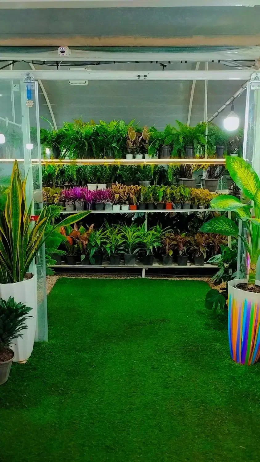 واگذاری گلخانه|فروش مغازه و غرفه|داراب, |دیوار