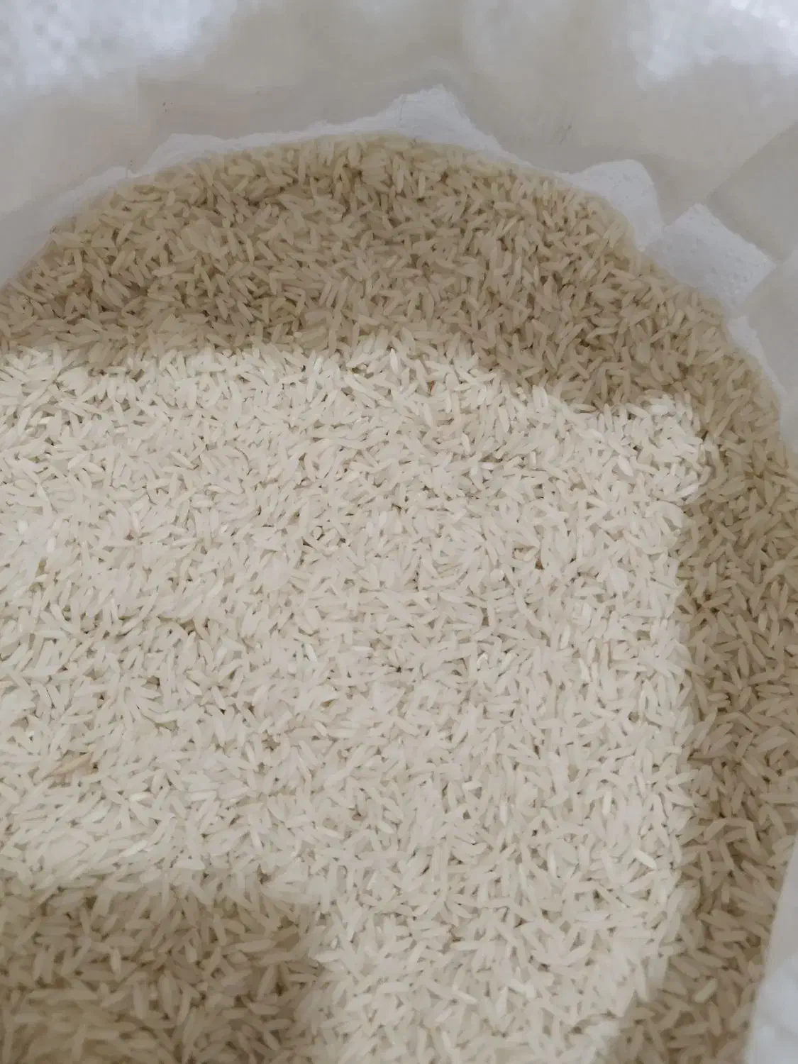 برنج هاشمی|خوردنی و آشامیدنی|اشتهارد, |دیوار