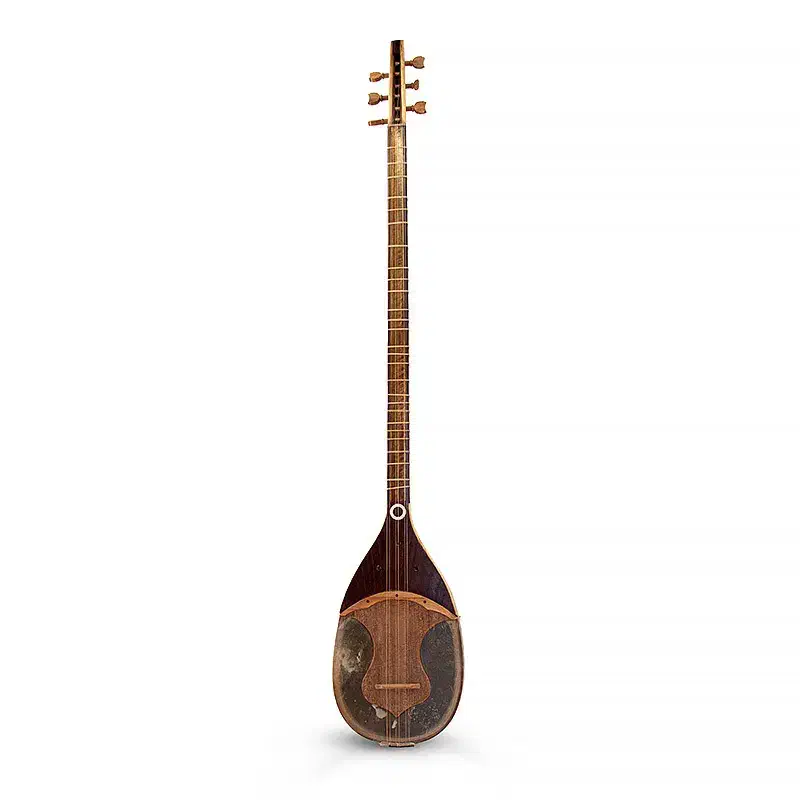 شورانگیز دو مهر حرفه ای|سازهای سنتی|ورامین, ورامین|دیوار