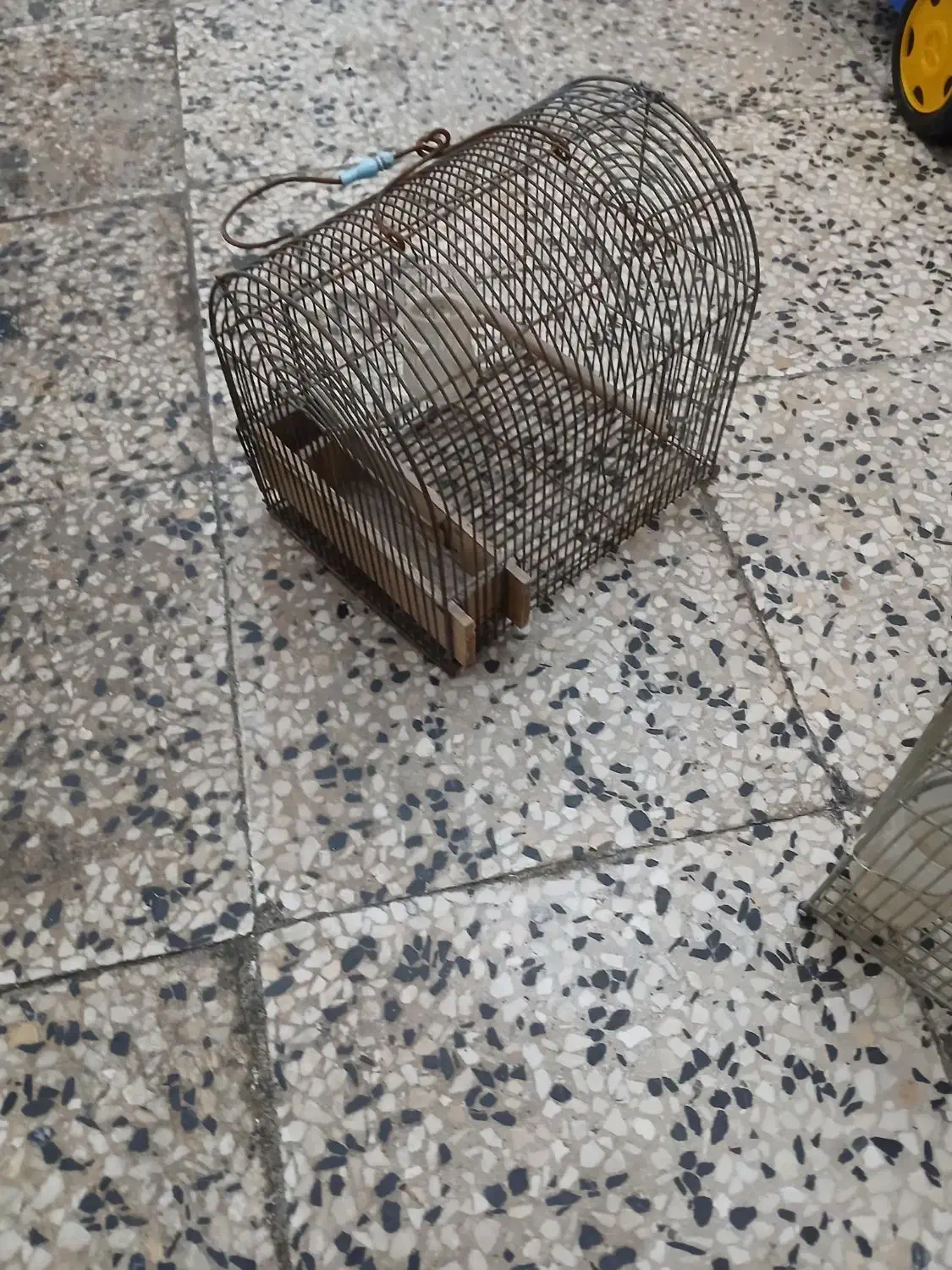 قفس پرنده نو درحد تعدادی هست|لوازم جانبی حیوانات|دوگنبدان, |دیوار