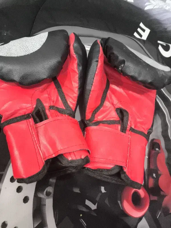 دستکش بوکس|تجهیزات ورزشی|بوشهر, |دیوار