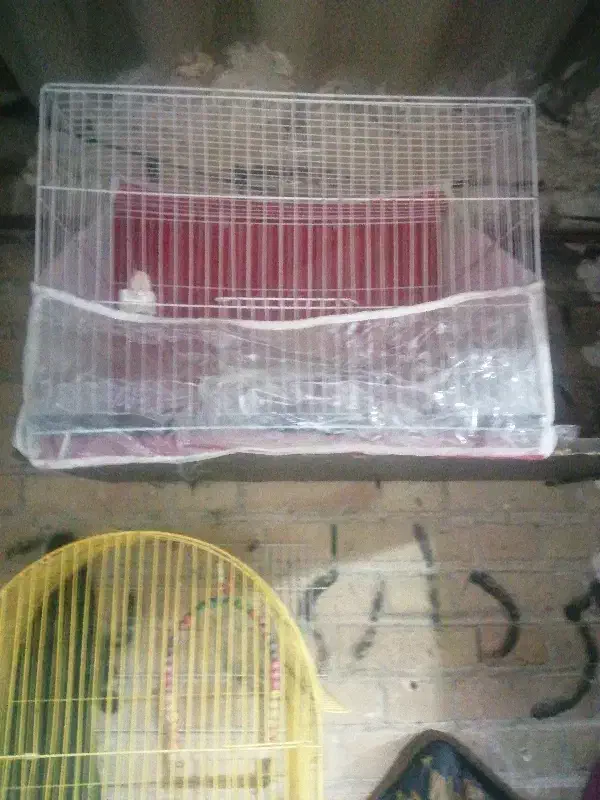 قفس عروس|لوازم جانبی حیوانات|مشهد, میعاد (شهرک غرب)|دیوار