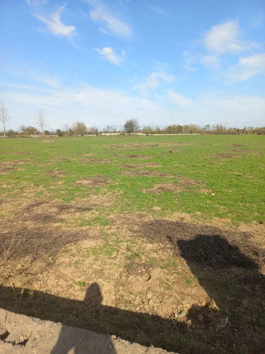 زمین برای مرغداری و گلخانه یک هکتاری|فروش زمین و ملک کلنگی|رشت, نظری|دیوار