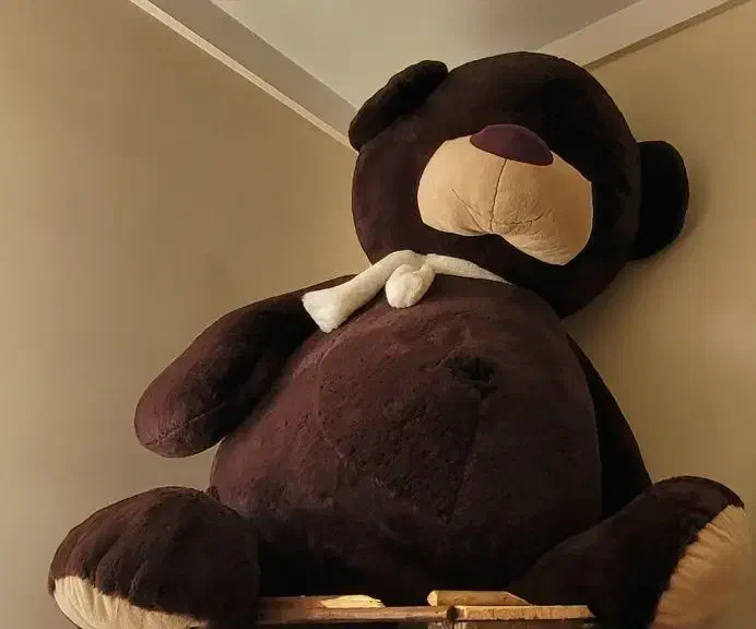 خرس عروسکی خیلی بزرگ|اسباب‌‌بازی|مشهد, هفت تیر (نه دره)|دیوار