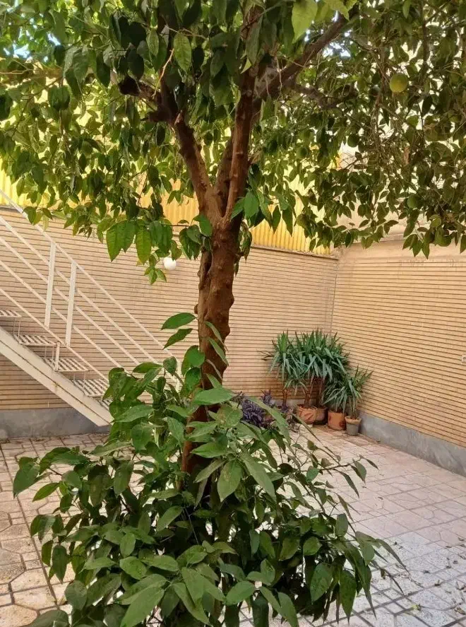 آپارتمان 88متر/منیریه/اسد منش/دهستانی/پارکینگدار|فروش آپارتمان|تهران, منیریه|دیوار