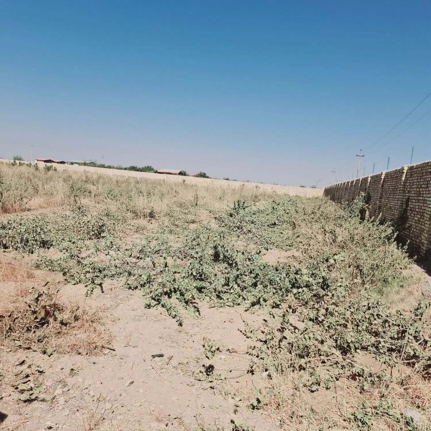 خراطی چوب پالت خدماته پیوندضایعات تیرخریدارم صنوبر|خدمات باغبانی و درختکاری|کمیجان, |دیوار