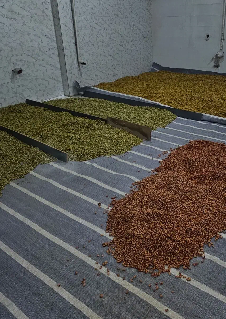 تفت و شورکاری اقلام خشکبار|خدمات پیشه و مهارت|شیراز, دارالرحمه|دیوار