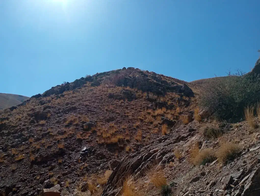 فیش حج عمره|تور و چارتر|صائین قلعه, |دیوار